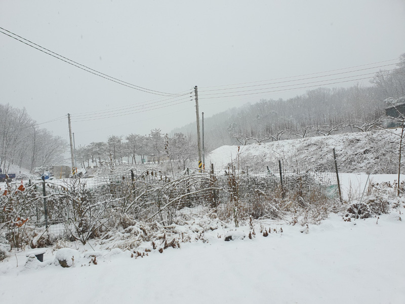 수정-외부겨울 풍경